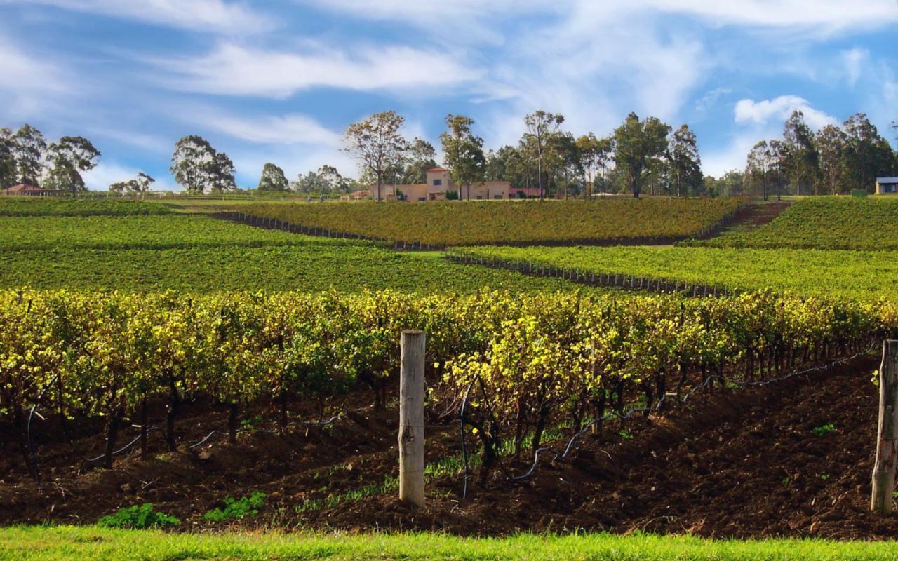 Estate Tuscany Pokolbin Bagian luar foto